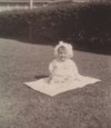 Patricia E. (Lusz) Coogan photos
